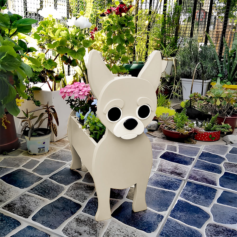 Chihuahua Planter